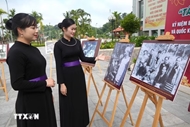 Tuyen Quang